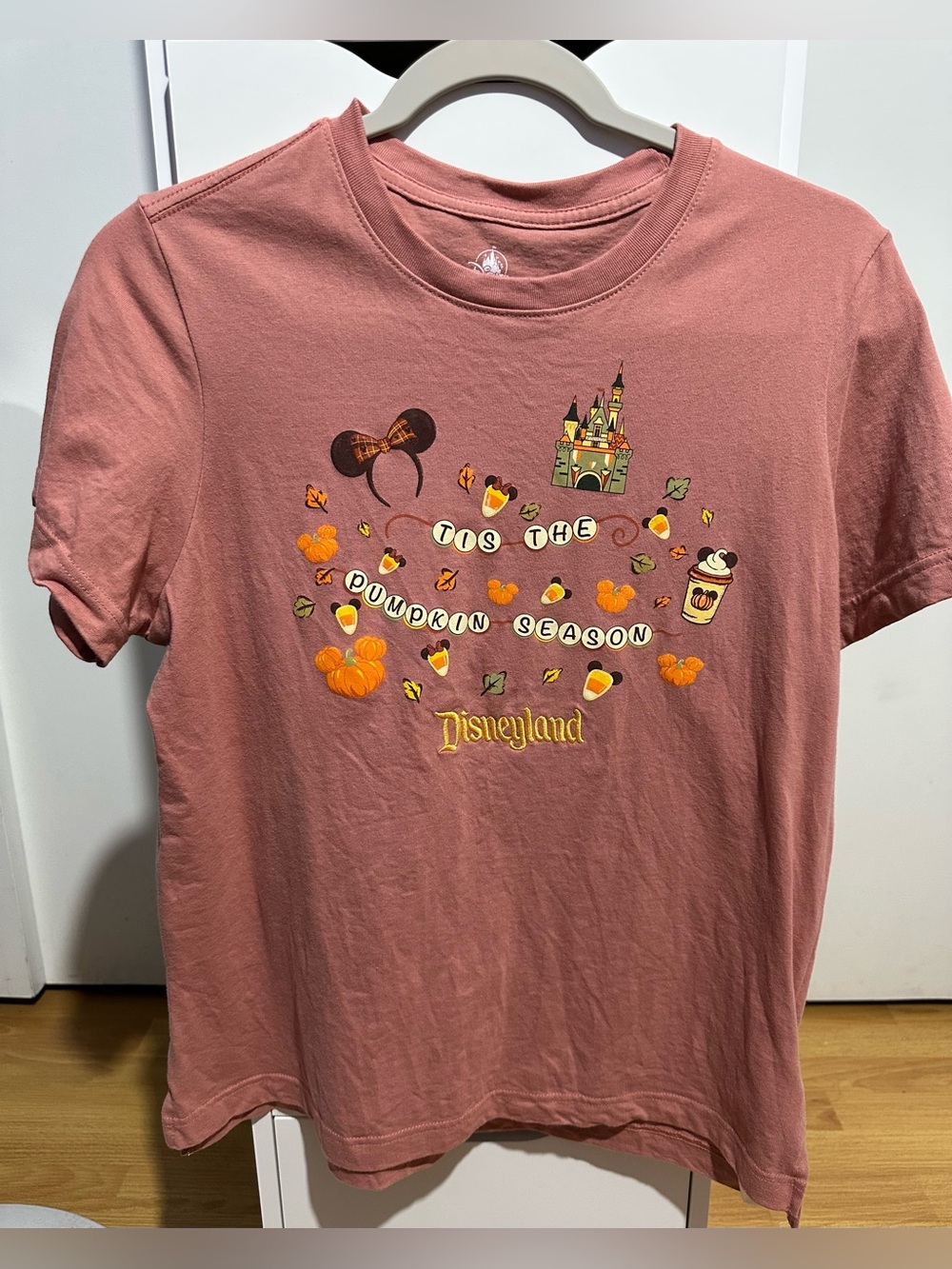 Disneyland 2026 Tis The Pumpkin Season Shirt